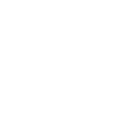 vico electric